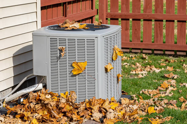 Best HVAC maintenance near me  in Hallsville, MO